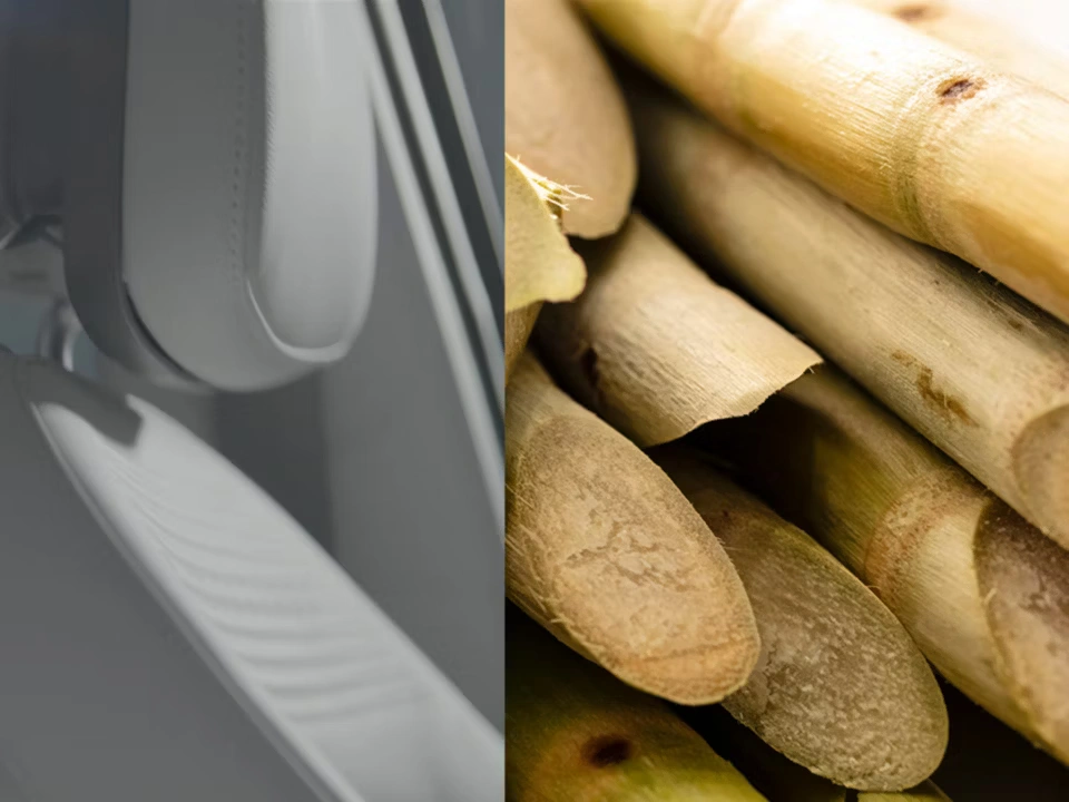 Biljni materijali za sjedala i tepihe