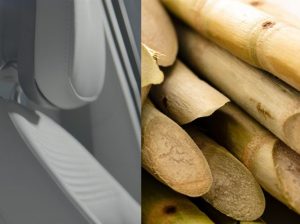 Biljke pretvorene u komponente za sjedala i tepihe.