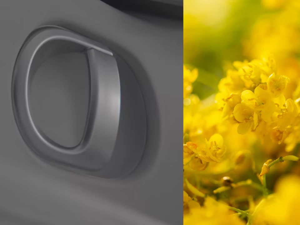 Cvijeće postaje boja