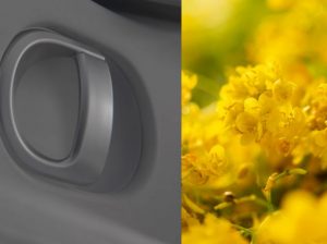 Cvijeće pretvoreno u boju.