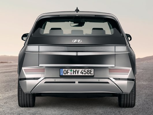 Obloga za stražnja vrata, četkana