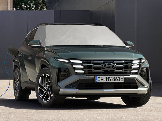 Sjena protiv leda/sunca