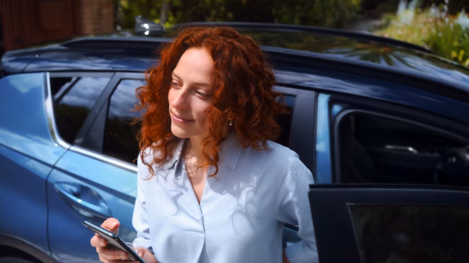 Bluelink usluge povezivanja automobila