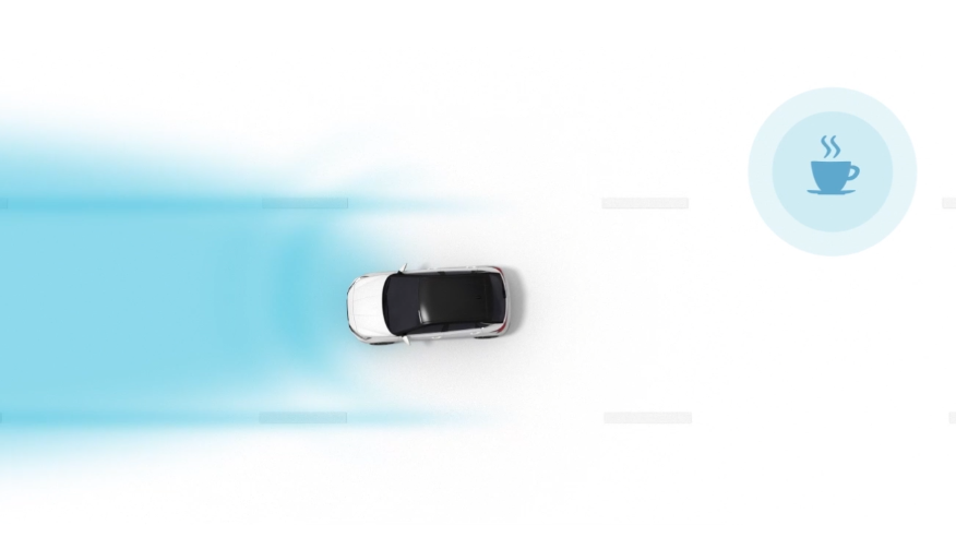 In Cabin Camera (ICC).